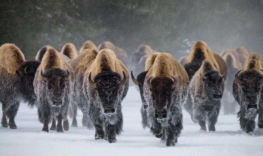 鸡市激光防伪标签公司轮播图4