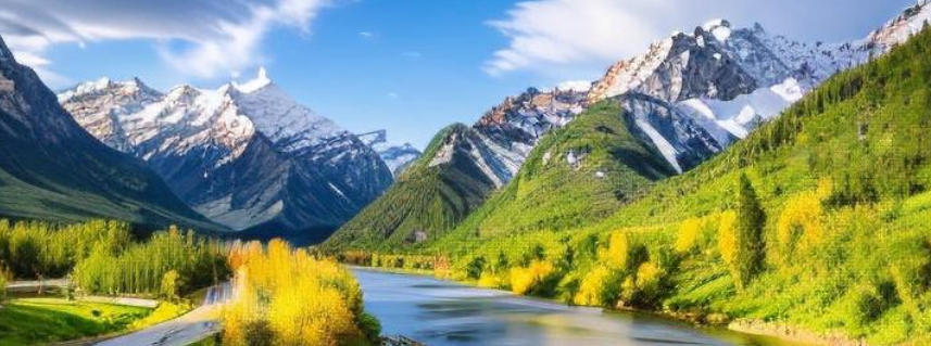 鸡市激光防伪标签公司轮播图3